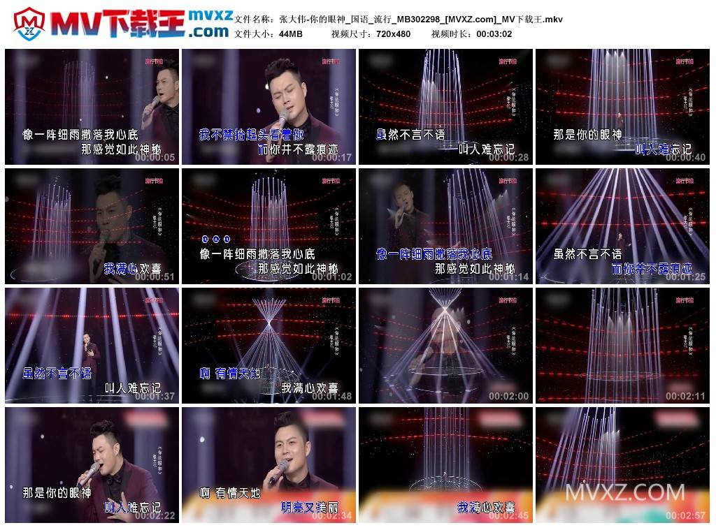 张大伟-你的眼神_国语_流行_MB302298